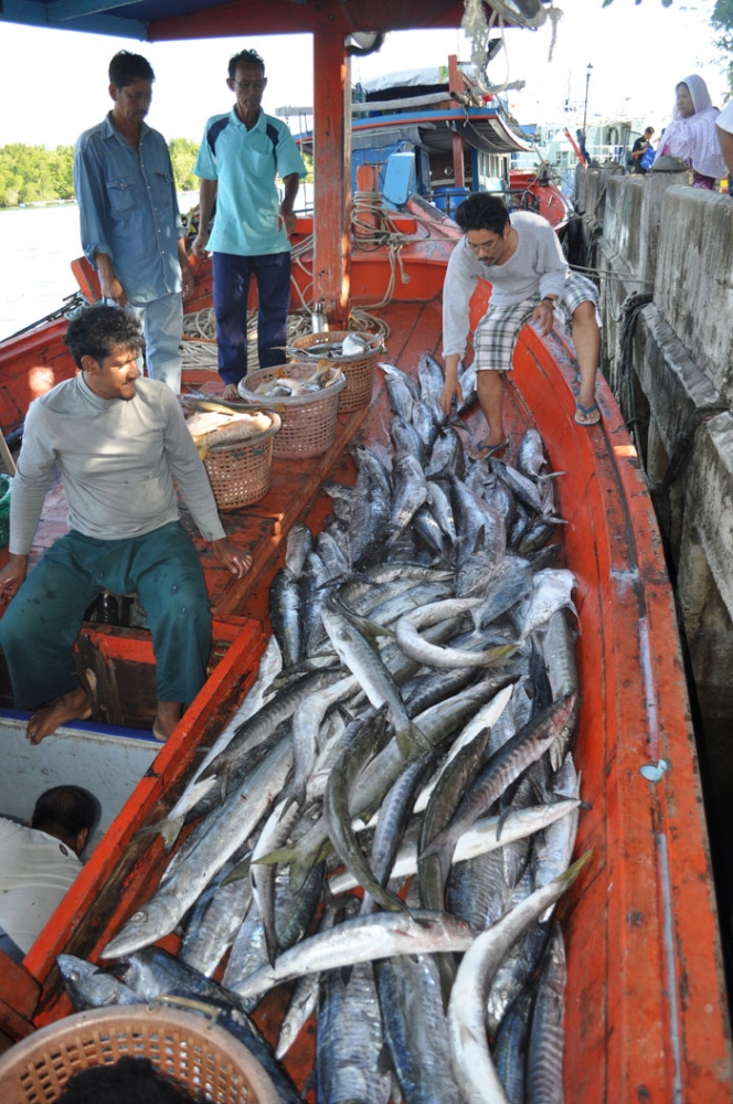 ไต๋บังหนันจอมขมังแห่งปากบารา จังหวัดสตูล ทีมงานนาสาร R&C fishing สุราษฎร์ธานี