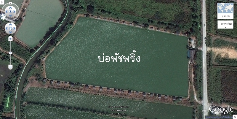 ลักษณะบ่อพัชพริ้ง   :grin: