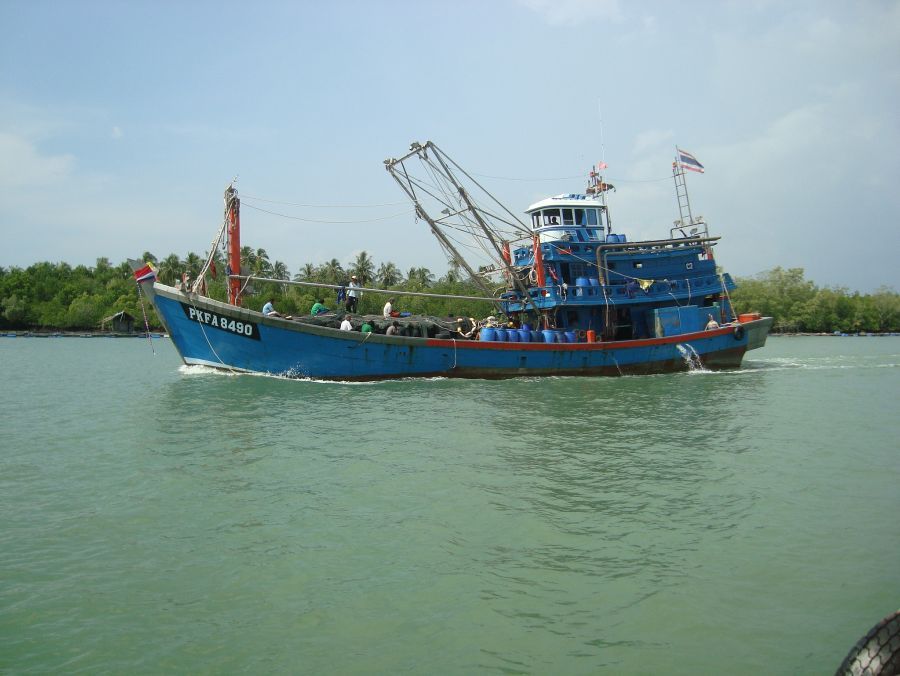 เรือที่พบกันอยู่ประจำ :laughing: :laughing: :laughing: :laughing: