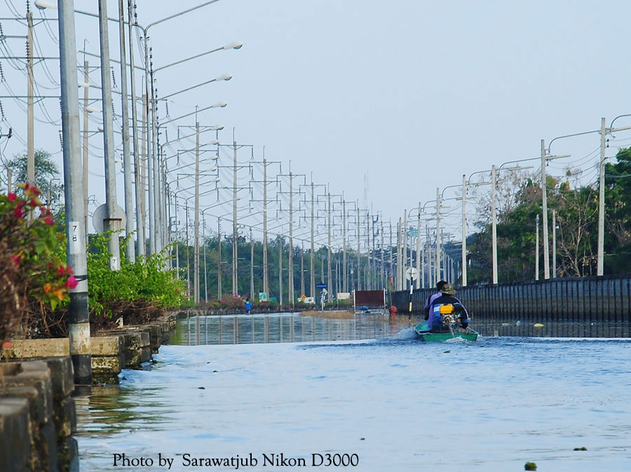 พายเรือบนถนนไปถ่ายรูป   