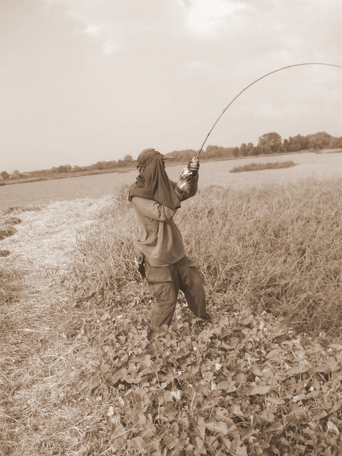 ว่าแล้วก็ SET HOOK โชว์สะเลย ..........................  :laughing: :laughing: :laughing: :laughing: