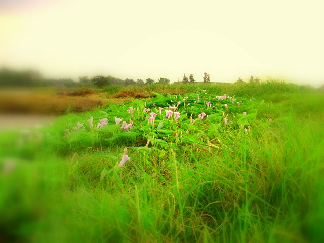 ลากันด้วยภาพนี้ .............................. มุมสวย ๆ  :love: :love: :love: :love: :love: