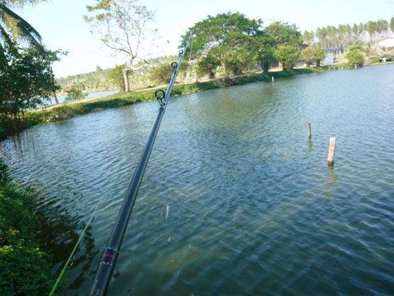  :smile: :grin:หลังจากพักจนอาการดีขึ้น  อัดปลาอยู่ดีๆๆ น้อง L MINNOW S ลอยขึ้นจากน้ำเฉยเลย :grin: :g