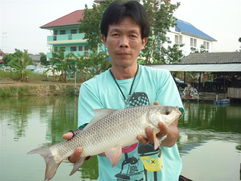 อีกหน่วยครับ ยังหาอย่างอื่นไม่เจอครับ :smile: