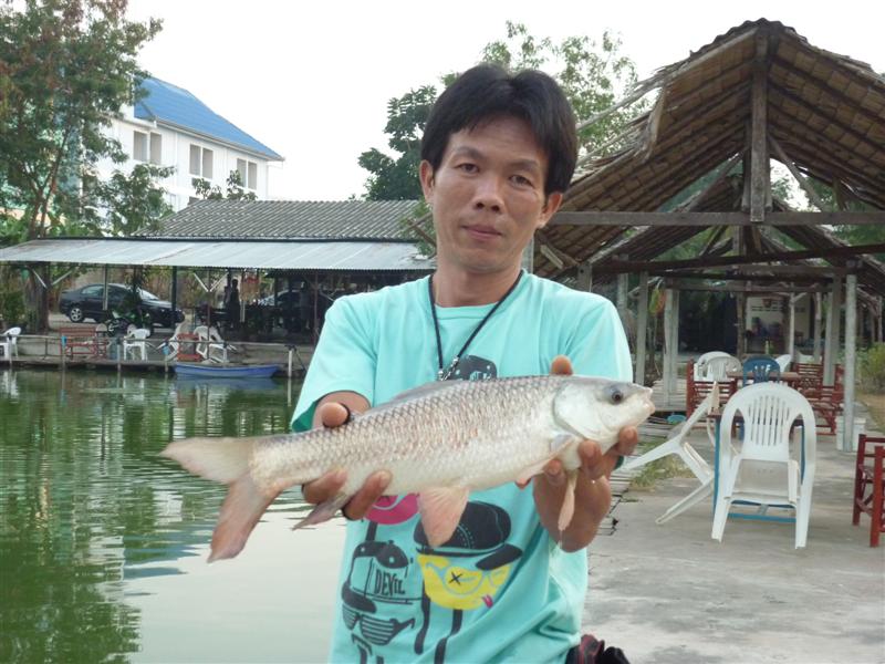 ยี่สกล้วนๆเลยงานนี้  :smile: