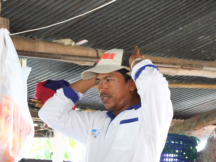 [b]อ้าว อิ่มแล้วเหรอจ๊ะ น้าศิวะ อิอิ[/b]  :grin: :grin: :grin: :grin: :grin: :grin: :grin: :grin:
