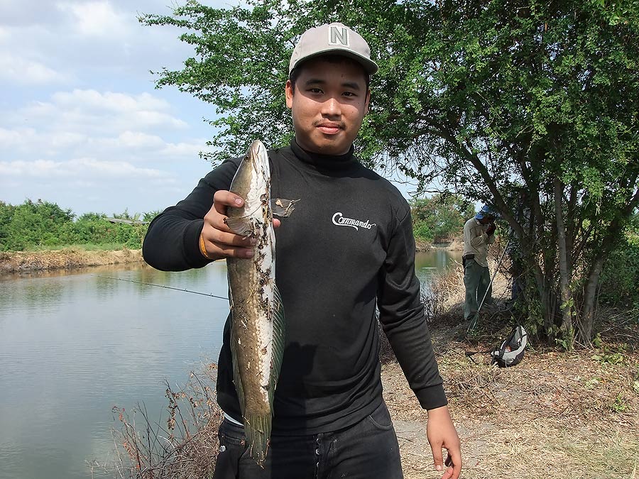 [b]และแล้ว น้าบูมเรา ก็ได้หล่อครับ อิอิ[/b] 
 :cool: :cool: :cool: :cool: :cool: :cool: :cool: :coo