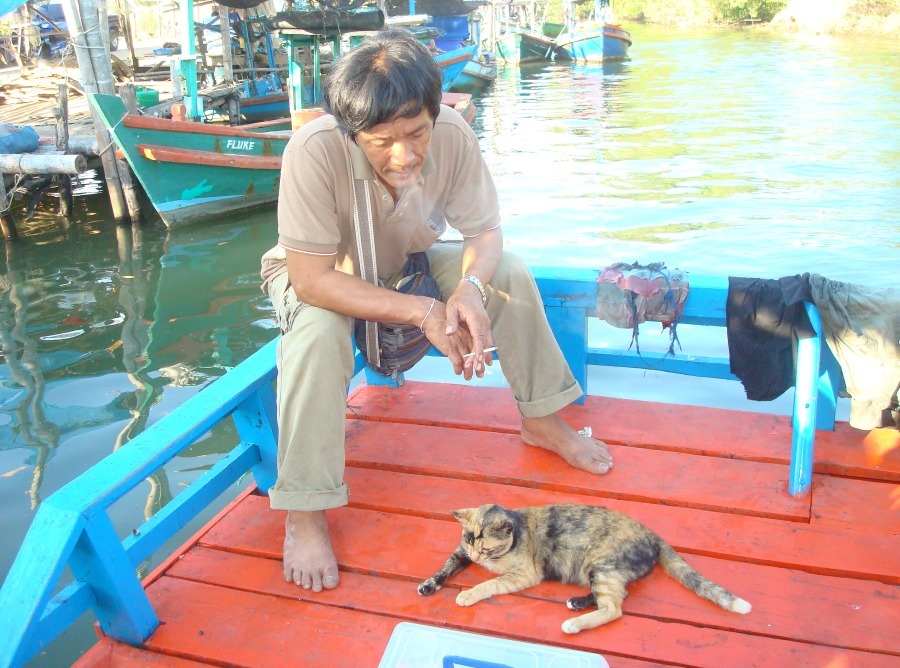 ลูกน้องไต๋ตามมาส่งบนเรือ ใจคิด"แมวมาส่ง เหมือนบอกว่า เอาปลามาฝากบ้างเน้อ"