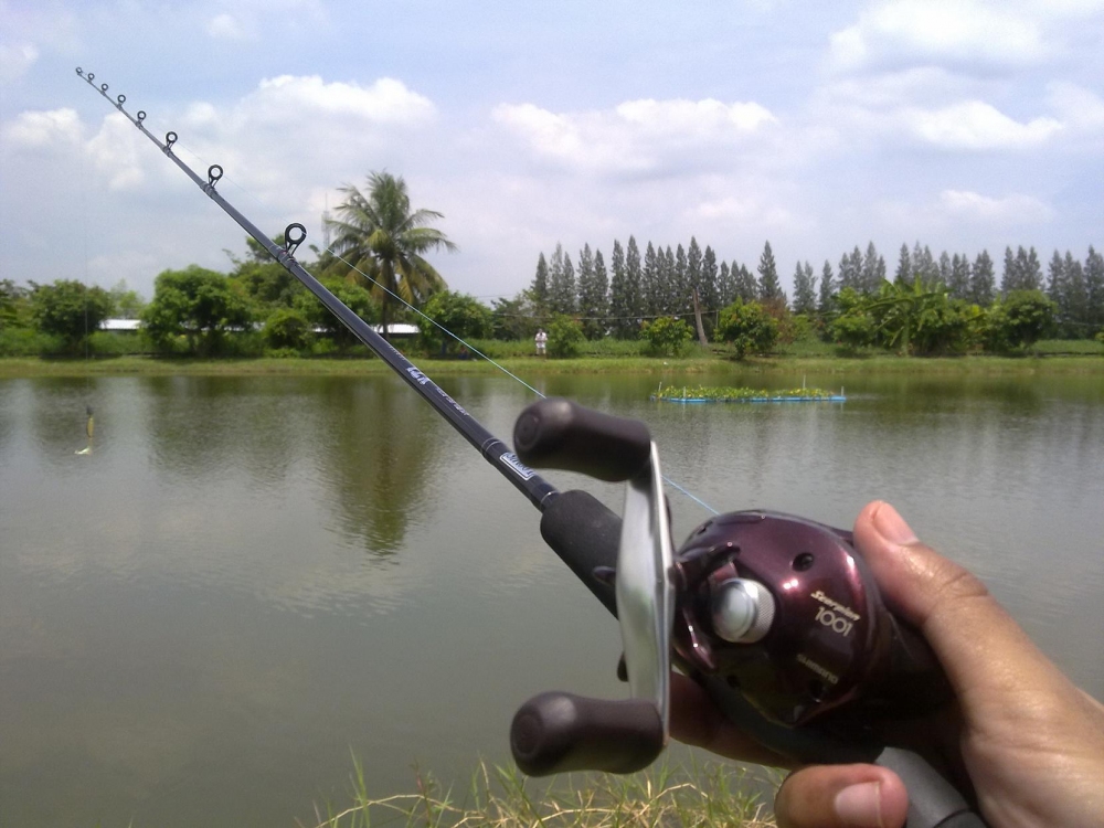 ไม่ใช้เทพแถมเป็นรอกตกรุ่นอีกตังหากแต่เป็นชุดที่ผมชอบนะครับ 

Shimano Scorpion 1001 ประกบกับ XTL 5