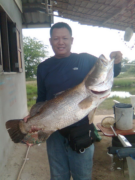รอต่อไปจิ๋วเอ้ยยย :cool: :cool: :cool: :cool:
