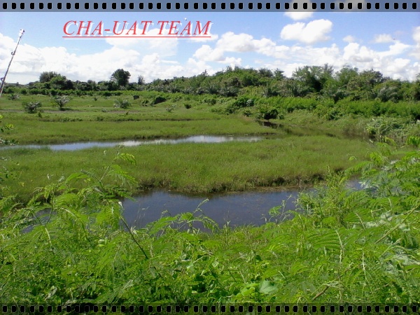 ปลานครศรีฯ(พาน้องๆไปเทสเหยื่อบริจาค....อิอิ.)