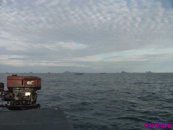  :grin:เริ่มออกมากันแล้ว...