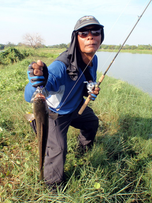 อีกลีลากับปลาช่อนภาคบ่ายของปู่ถึก.................อิอิอิ :cool: :cool: :cool: :cool: :cool: