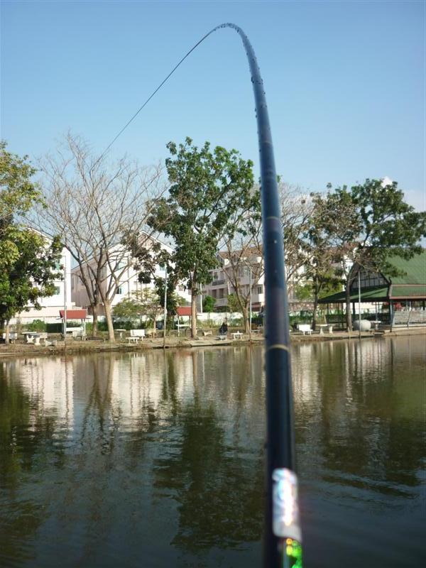 และ ต่อมาติดติดครับ น่าจะเจอฝูงเรือดำน้ำล่ะครับ  ตอดแรงดุดันสไตล์เรือดำน้ำที่นี่เลยครับ   กระชากทิ้ง