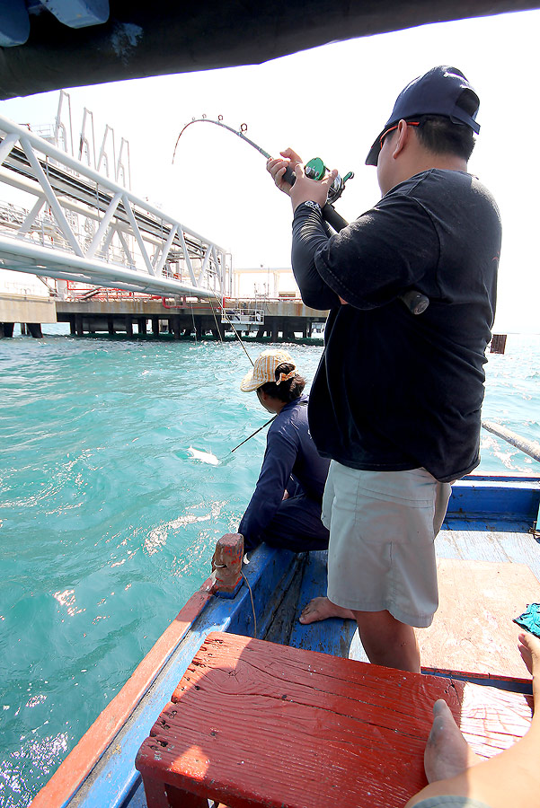 
 [b] แต่ตัวนี้  เราไม่เผลอ

นั่งเฝ้ากัน  ตาแทบหลุด[/b]


 :grin: