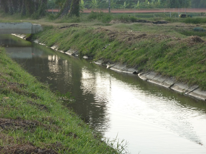 คลองพึ่งโดนลอก ไม่เหลือสาหร่ายเลยคับ