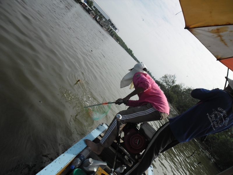 ไม่นานไต๋ชนกับน้าอันวุ่นวายกันอยู่ท้ายเรือ :cheer: :cheer: :cheer: