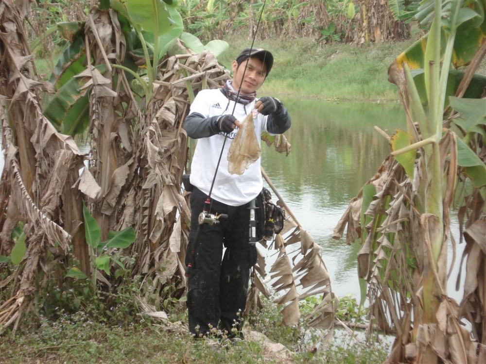 ................. :smile: :smile: :smile:..............