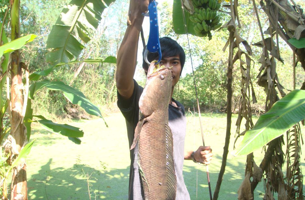 ส่วนตัวนี้ไซร์เฉียด3โลของเพื่อนวัช :ohh: :ohh: :love: