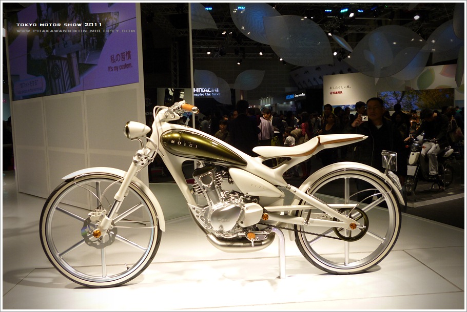 เป็นภาพจากกล้องคอมแพ็ค Panasonic DMC-FH7
