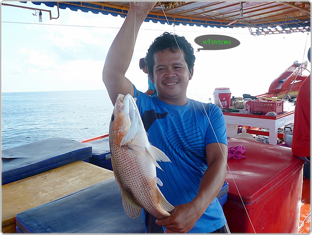 [q][i]อ้างถึง: Gloomis555 posted: 07-12-2554, 20:49:49[/i]

ตามชมเรือสะอาดด้วยคนครับ :cheer: :chee