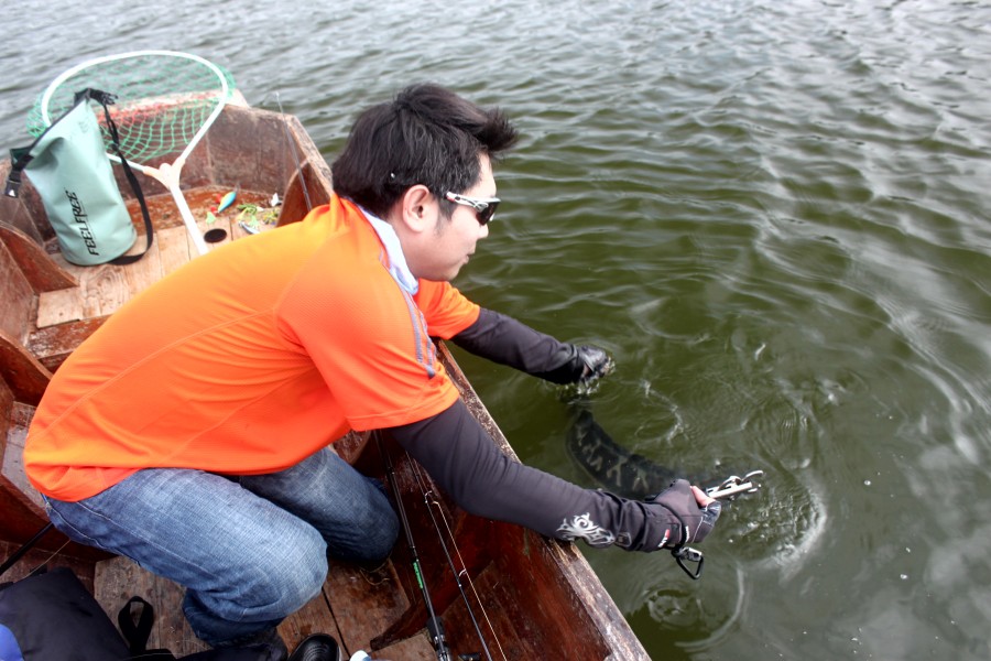 กลับไปทำหน้าที่เหมือนเดิมนะ ไว้โตอีกหน่อยค่อยเจอกันใหม่ :laughing: :laughing: :laughing: :laughing: 