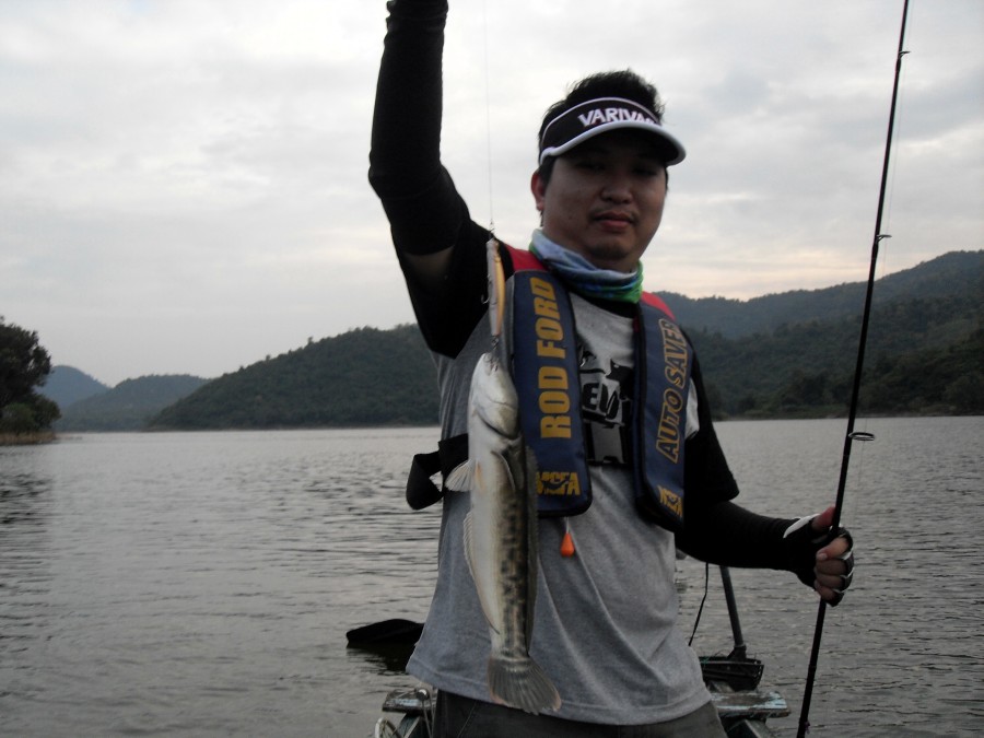 กินกันไม่ลงจริงๆครับ คู่นี้  :flag: :flag: :flag: :flag: :flag: :flag: :flag: :flag: :flag: :flag: :