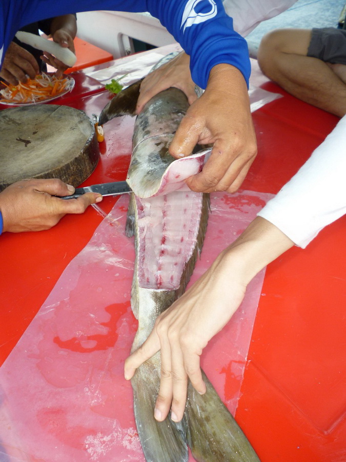 [center][b]จัดกันไปครับ  สดๆๆจากทะเล[/b][/center]