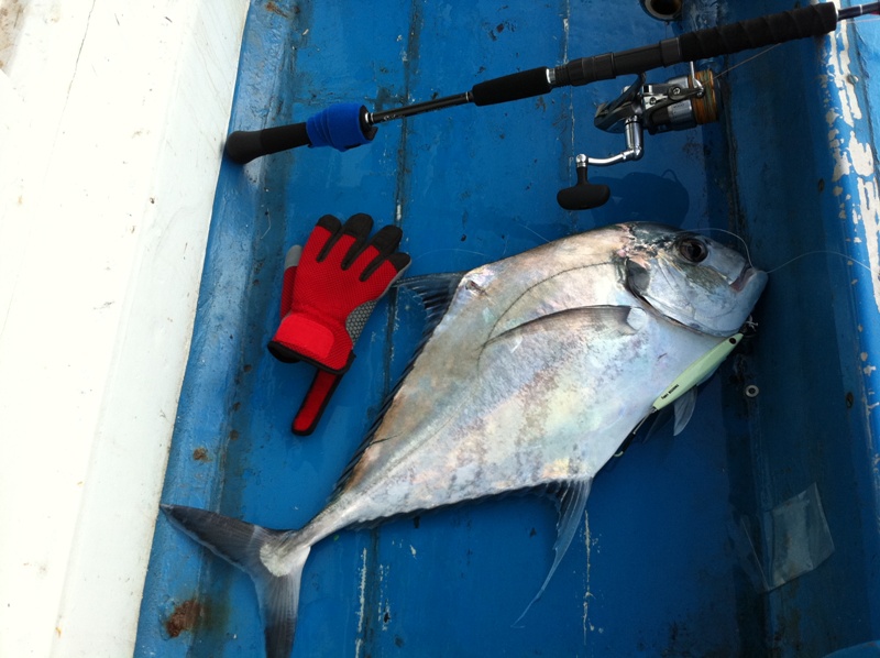Rod: Hot's Fake Lez PE1.5-3 Max 150g
Reel: Caldia Kix 4000 + Arm (Caldia Kix 4000 Custom) + Carbon
