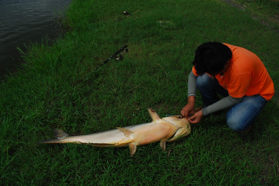 ขึ้นมาแระ หลานผมตอนอัดไม่มาถ่ายรูปให้เลย นั่งหอบอยู่ในซุ้มครับ 

 :laughing: :laughing: :laughing: