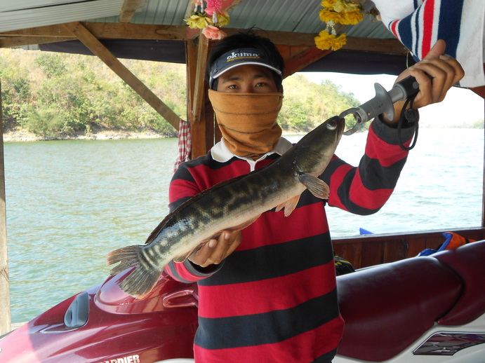 ลากันด้วยภาพนี้คับ
ขอบขุณทุกท่านที่ติดตามชม
 :cheer: :cheer: :cheer: