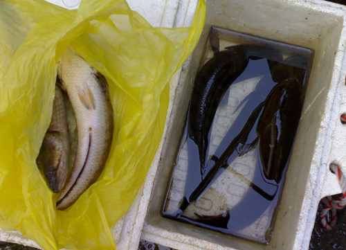 สวัสดีครับ
คุณคนเมืองน่าน
คุณBIG+FISH 


------------------------------------------------------