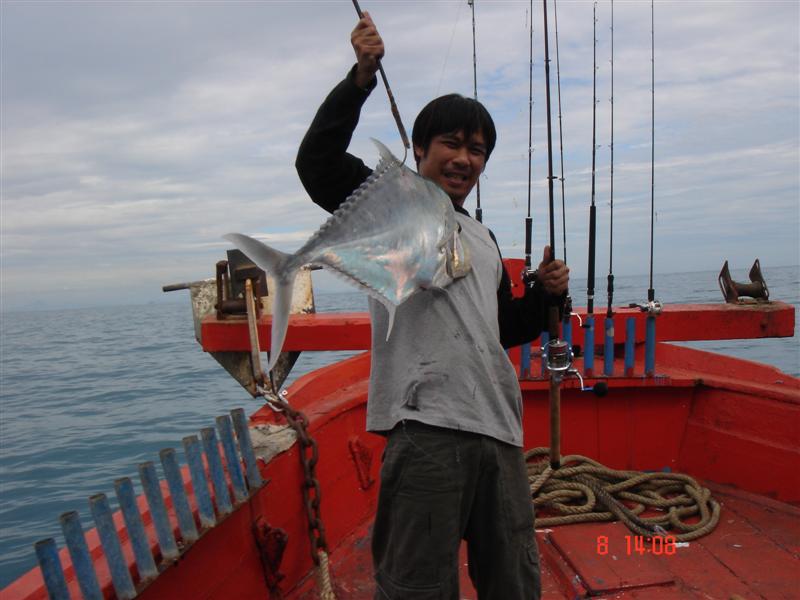 ทั้งลอดท้องเรือ........สายสีท้องเรือ.....ไต๋บอก....ขาดแน่ๆ.....ไม่รั้ง....ก้อเข้ากองหิน....หักเป็นหั