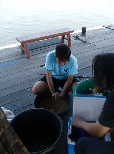 ปั้นใหม่  น้องบอส