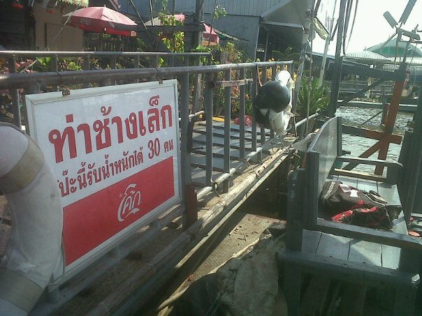 เล็กๆ น้อยๆ หนุก หนาน ตอน ปลา กิน กล้วย