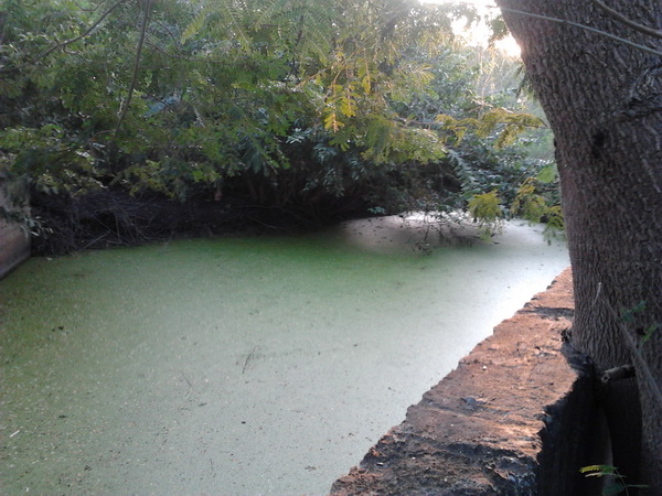  :smile: :smile: :smile: :smile: :smile: