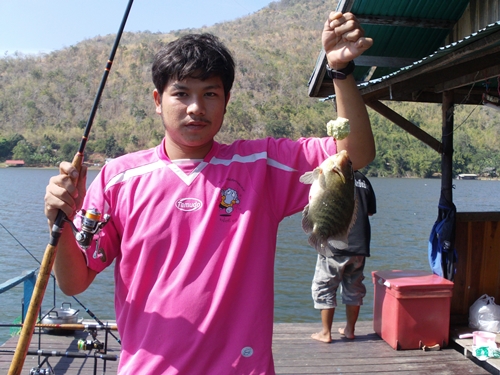 ไม่นานเกินรอครับน้าเบริด์ก็จัดหมอตะกรับมาอีกตัวครับ :smile: :smile: :smile: