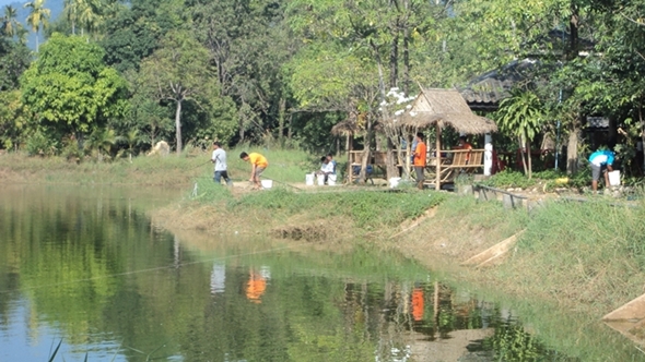 โอ่ว คนเยอะ 