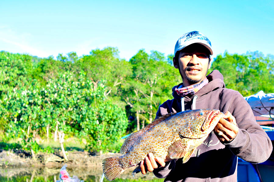 พี่เก๋าของเราตัวนี้ใหญ่ใช้ได้