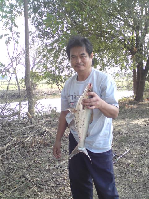 เท่เท่ซักภาพ