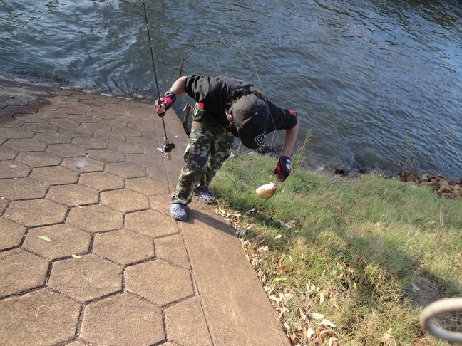 น้า VRFishing ครับ 
มาตีสักพักนึงได้มาแล้ว :grin: :grin: