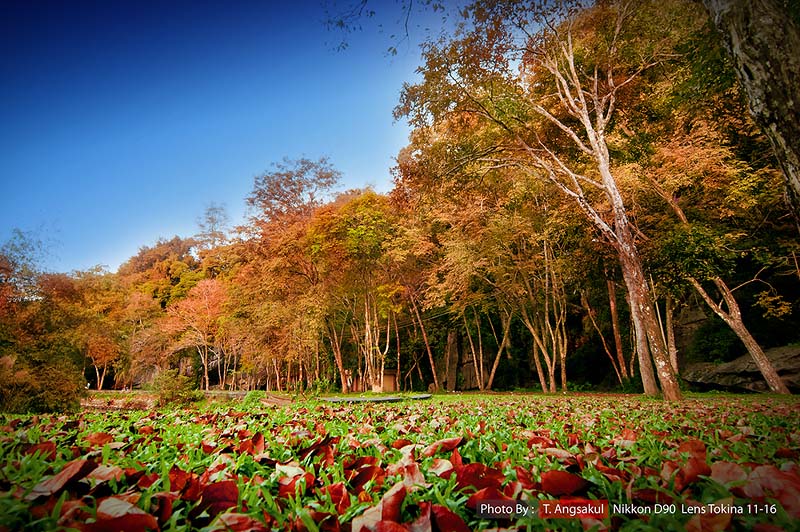 The Spring @ Satun....   เคยมีคนบางคนเคยบอกผมว่า ณ ปัจจุบันห้อง Lab ที่มีความสามารถเป็นอันดับต้นๆ ใน