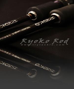 RYOKO Bay game 2012 NEW 
model   :    RYOKO 641S PE 1.5 - PE 3   Lure wt 60g - 120g max Drag 8 kg 
