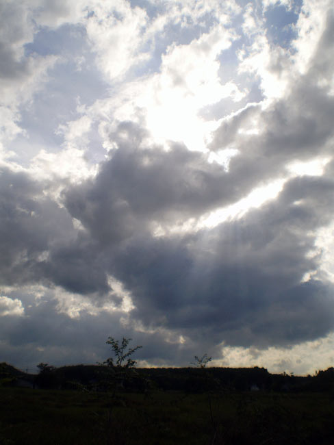 อนาคตมืดมน ย้ายดีกว่าฝนจะตกเเล้วด้วย
 :grin: :grin: :grin: