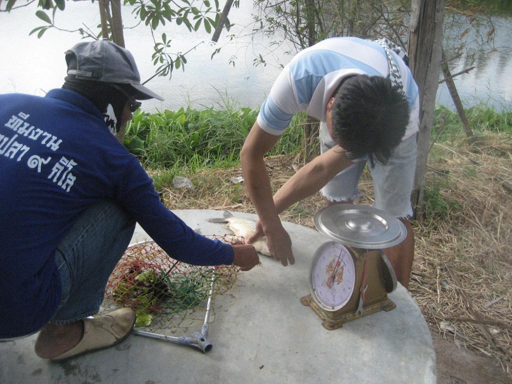  :music: :party: :music:เก็บตก...ตกปลา :music: :party:
ตาชั่งโบราณตัวเดิมคับ :spineyes: :spineyes: 