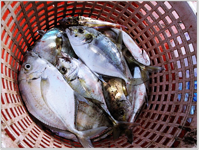  [b]หัวเรือ 3 เสือ  ซัดมาอย่างรวดเร็ว 20 นาทีแรก 

"ครึ่ง..เข่ง"[/b] :love: :love: :ohh: :ohh: