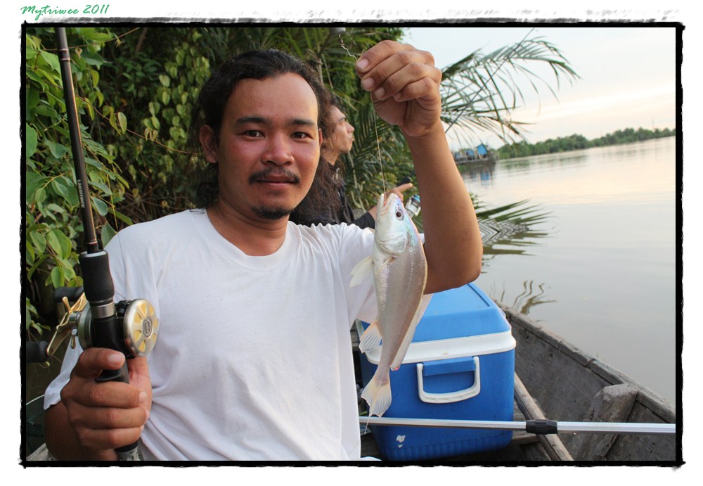 ปลาม้ายามเย็น
 :grin:
