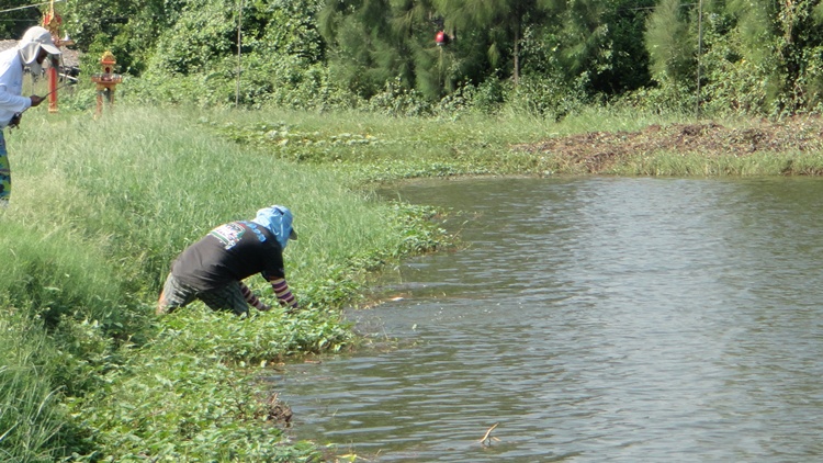 น้าอึ่งช่วยด้วยถือคันให้หน่อยเดี๋ยวปลาหลุด ตรูเสียว.....

[q][i]อ้างถึง: FiShinGpex posted: 20-12-