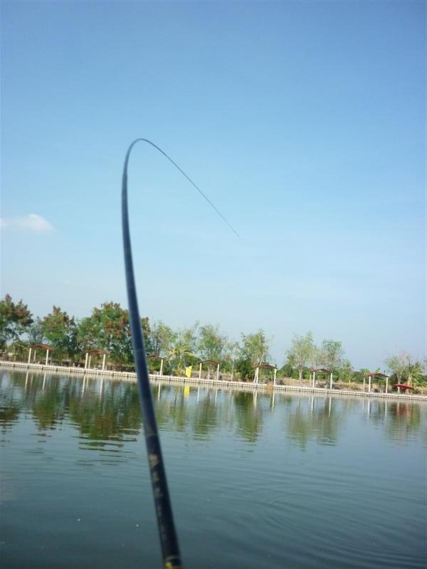  :talk:    ในเวลาต่อมา.................

                                              เจ้าตัวที่ต