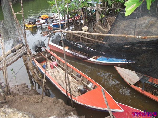 เรือพลีดคับ...ที่ใช้ในการแข่งขันในครั้งนี้